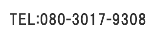 080-3017-9308